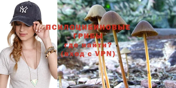 герыч Алексеевка