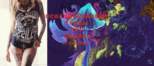 соль ск Абаза