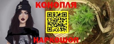 прущие крисы Малгобек