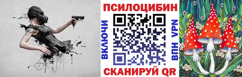 наркотики  Дедовск  Галлюциногенные грибы Psilocybe 