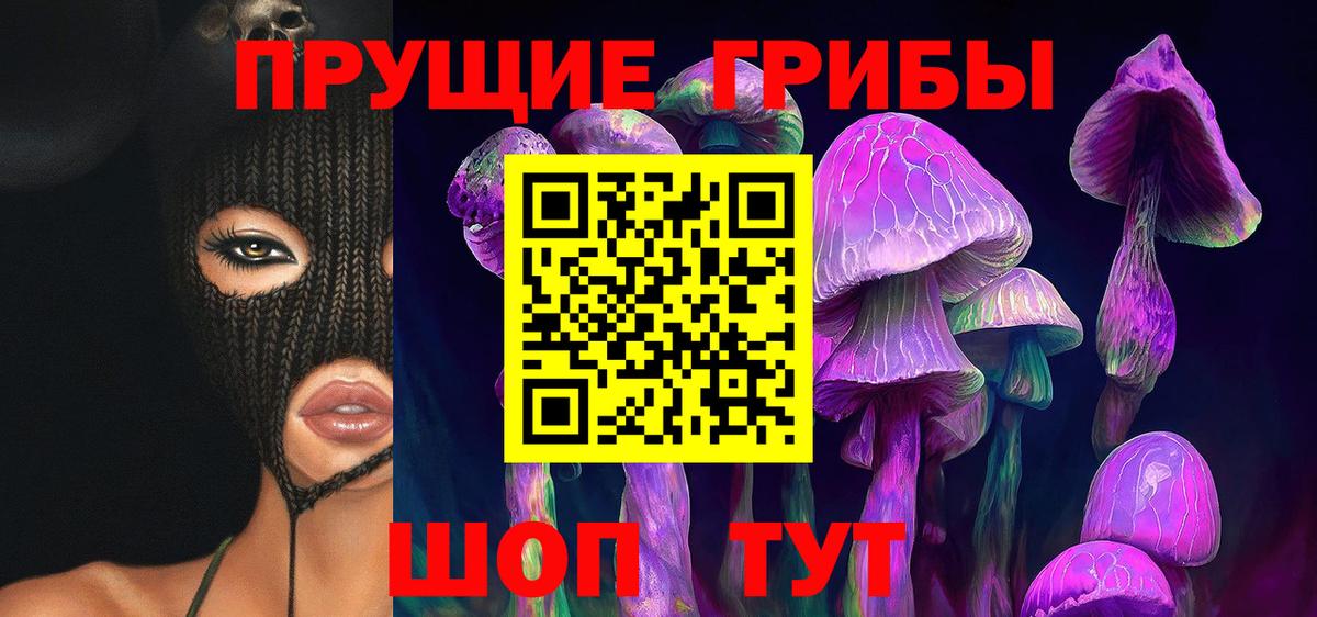 Дедовск  Галлюциногенные грибы Psilocybine cubensis  цены   Вход с VPN 